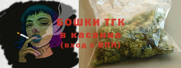 гидра Карталы